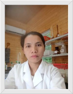 ����Ƭ�ļ���